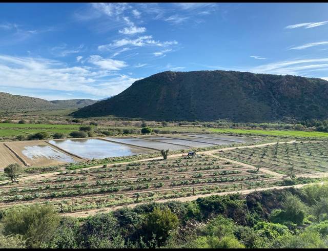820HA FARM FOR SALE IN LADISMITH RURAL